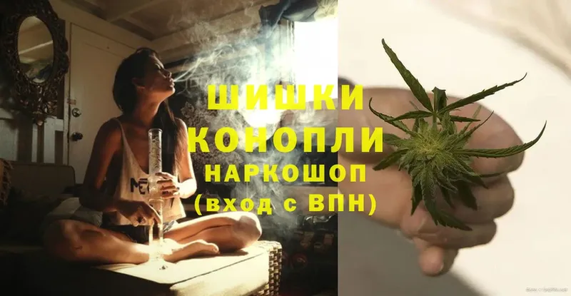 Бошки марихуана THC 21%  Юрьевец 